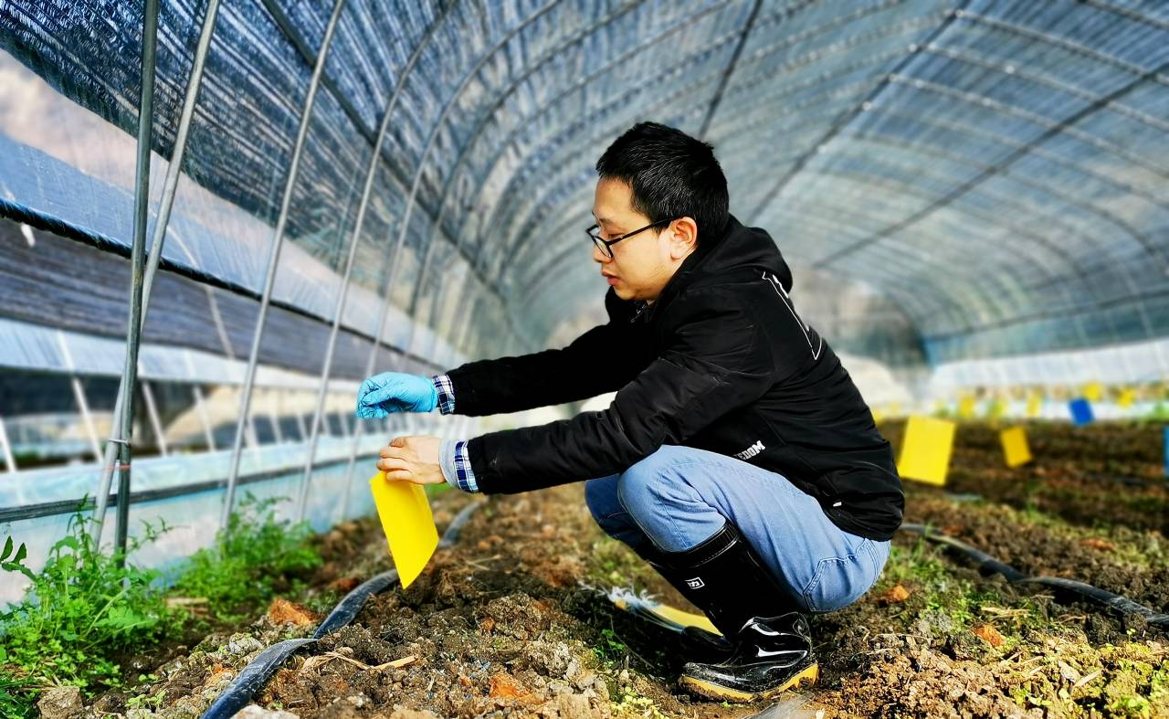 扎根田野，書寫大地——記貴州理工學院教授柏松的自然科學研究之路